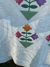 Load image into Gallery viewer, Flower Applique Quilt